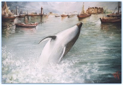 L'amore per il delfino si esprime anche con la pittura