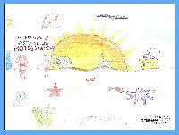 Puoi ingrandire l'immagine